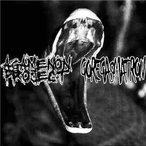 Agamenon Project / Goregasmatron - Agamenon Project / Goregasmatron