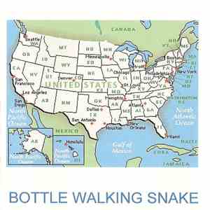 Bottle Walking Snake - States
