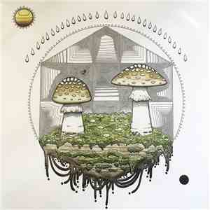 Ancestral Voices - Mycelia