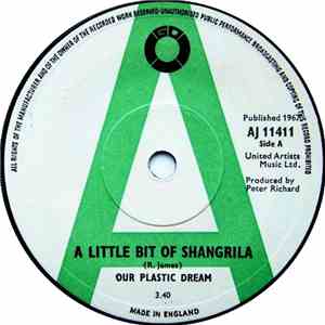 Our Plastic Dream - A Little Bit Of Shangrila