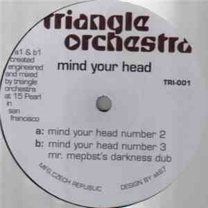 Triangle Orchestra - Mind Your Head