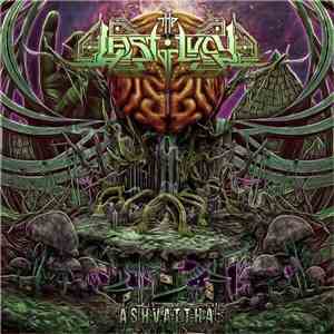 The Last Of Lucy - Ashvattha