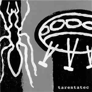 Tarentatec - Chronology 2005-2008