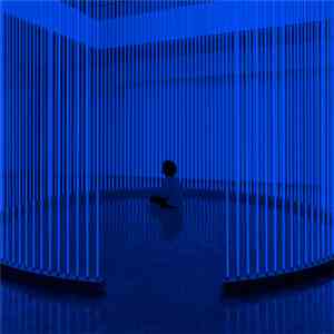 Steve Hauschildt - S/H
