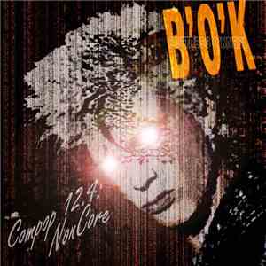 B'O'K - Compop 12.4: NonCore