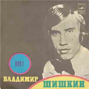 Владимир Шишкин - Нелетная Погода