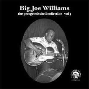 Big Joe Williams - The George Mitchell Collection Vol 5