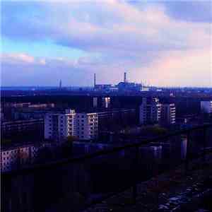 Borejko - Industrial Assimilation