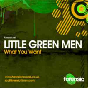 Little Green Men Feat. Sandy Mill - What You Want