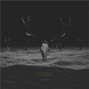 Bartosz Dziadosz, Tomasz Mreńca - Black Lake