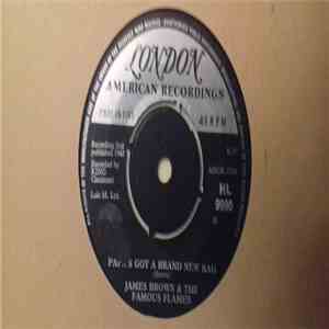 James Brown And The Famous Flames - Papa's Got A Brand New Bag