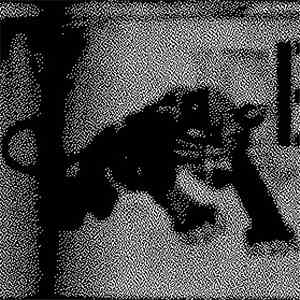 Russell Haswell - PANTHER nO!se