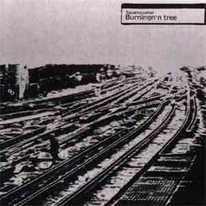 Squarepusher - Burningn'n Tree
