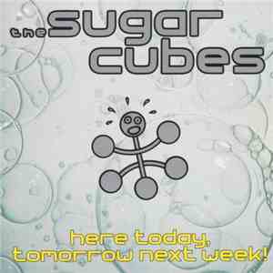 The Sugarcubes - Here Today, Tomorrow Next Week!