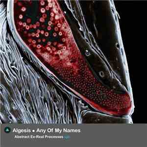 Algesis and Any Of My Names - Abstract Ex-Real Processes