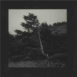 Alvin Aronson - High Rise EP