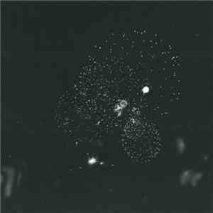 Speck  - You Still Alone