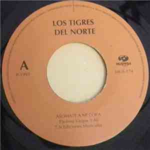 Los Tigres Del Norte - Asomate A Mi Copa