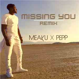 Meaku Ft. Pepp - Missing You (Remix)