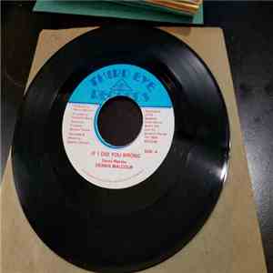Dennis Malcolm - If I Did You Wrong