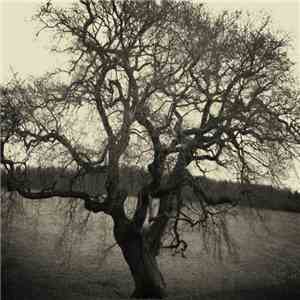 Sorrow Plagues - It Will Never End