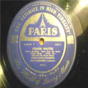 The Vienna Orchestra - Strauss Waltzes