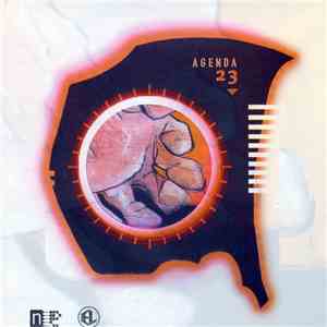 Various - Agenda 23 (An Eevo Lute Compilation)
