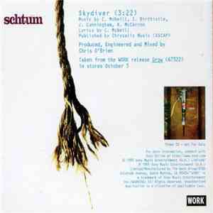 Schtum - Skydiver
