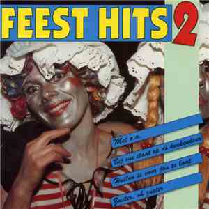 Unknown Artist - Feest Hits 2