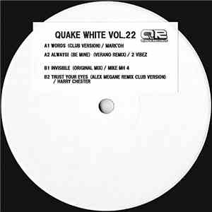 Various -  Quake White Vol. 22