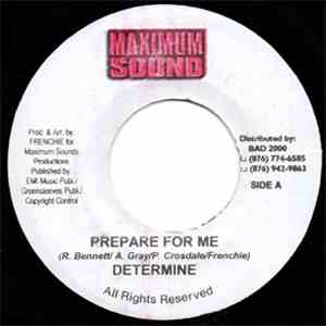 Determine / Mr. Pang - Prepare For Me / Hit Them In Style