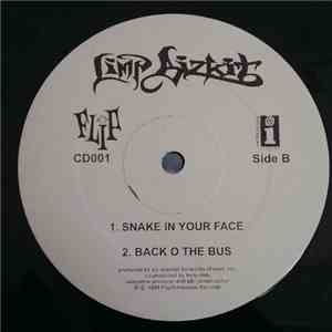 Limp Bizkit - My Generation (Album Sampler)