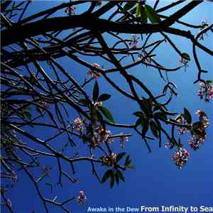 Awake In The Dew - From Infinity to Sea