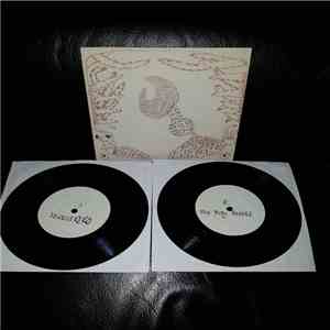Devendra Banhart - Here Are Four Songs From Rejoicing In The Hands Of The G ...