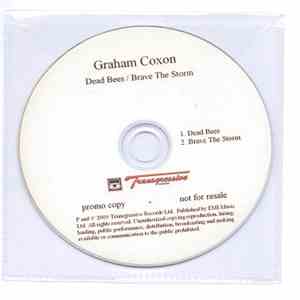 Graham Coxon - Dead Bees / Brave The Storm