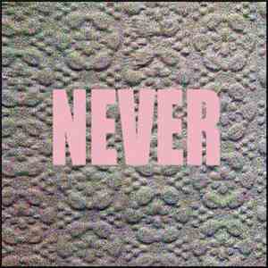 Micachu And The Shapes  - Never