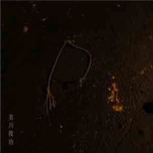 Mikawa Toshiji - No Breath Oblige