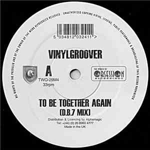 Vinylgroover / Sound Assassins - To Be Together Again (Remix) / Clearly Now