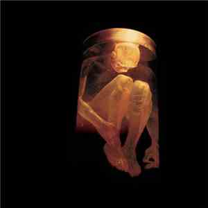Alice In Chains - Nothing Safe
