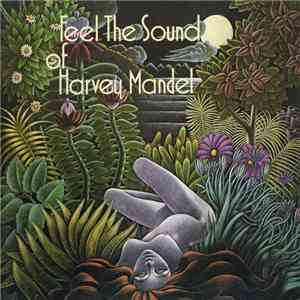 Harvey Mandel - Feel The Sound Of Harvey Mandel