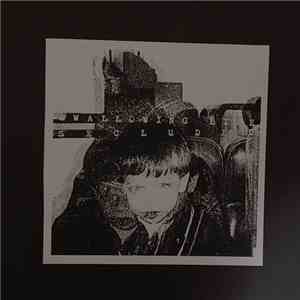 Swallowing Bile - Secluded