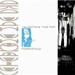 Celebrate The Nun - Meanwhile