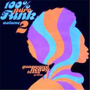Various - 100% Pure Funk Volume 2 Guaranteed Heavy Heavy Groove