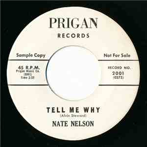Nate Nelson  - Once Again / Tell Me Why