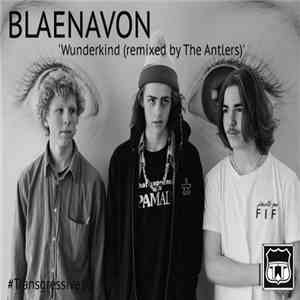 Blaenavon - Wunderkind (Remixed By The Antlers)