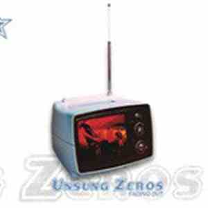 Unsung Zeros - Fading Out