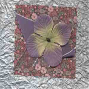 Cabinet Of Natural Curiosities - Vineland