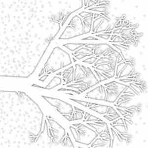 Foxhole - We The Wintering Tree