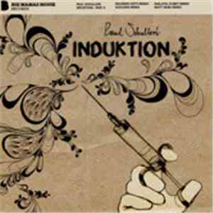 Paul Schulleri - Induktion Part Two