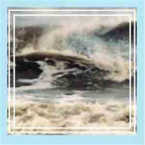 The Golden Gonk - Wild Waves